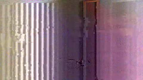 Snapshot of yorel64 chatting on 02.16.25 yorel64 online show from 02.16.25