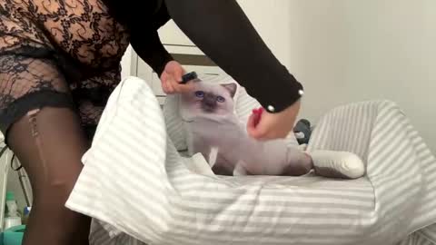 Snapshot of you_love_melisa chatting on 02.01.25 private on 18 per minute start private 500 tokensOnlyfans online show from 02.01.25