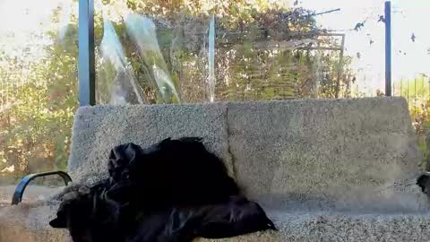 Snapshot of you_love_melisa chatting on 10.29.25 private on 18 per minute start private 500 tokensOnlyfans online show from 10.29.25