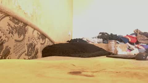Emily online show from 06.29.26
