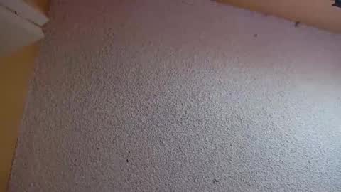 Snapshot of your_king_of_hearts chatting on 03.05.26 Sophiestar online show from 03.05.26