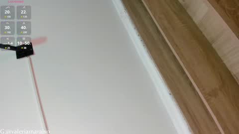 Snapshot of your_naughtytrans chatting on 02.01.25 SASKYA VALERIA online show from 02.01.25