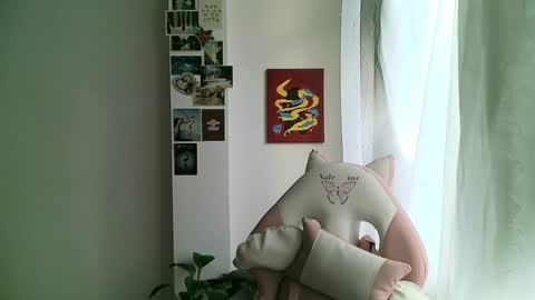 your sttar online show from 01.08.25