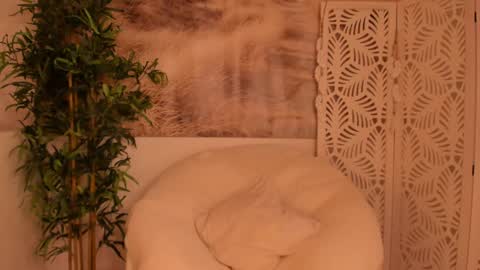 Sarah online show from 01.28.25