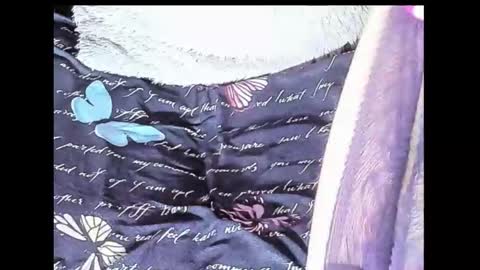 Snapshot of yukiodavis chatting on 10.10.25 Yukio Davis online show from 10.10.25