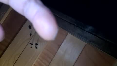 yungnhandsumdee online show from 10.13.25