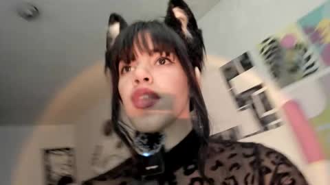 paola online show from 11.26.25