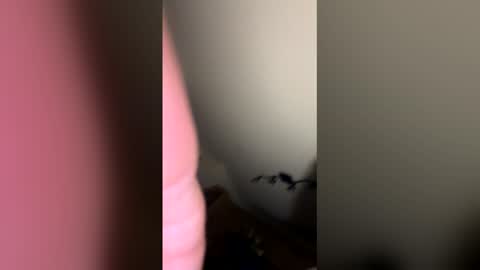 Snapshot of zachmurphbigboy chatting on 03.01.26 zachmurphbigboy online show from 03.01.26