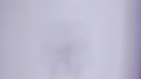 zafira online show from 03.07.26