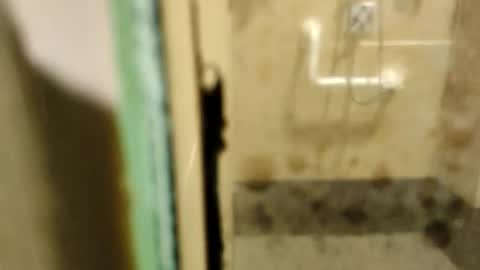 ZUL online show from 02.09.26