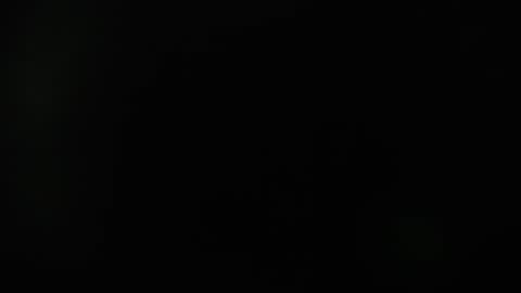 KAAL online show from 12.11.24