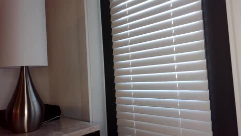 Snapshot of zamoraedii1994 chatting on 01.02.25 Edii online show from 01.02.25