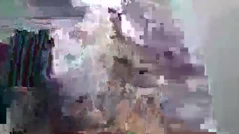 zaraa_lopez online show from 11.24.25