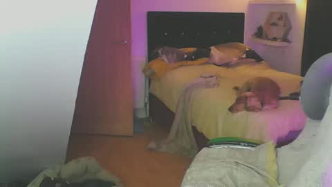 Snapshot of zedbooy chatting on 01.19.25 Zed online show from 01.19.25