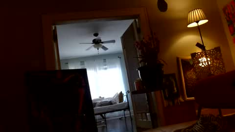 zedlav4 online show from 11.28.25