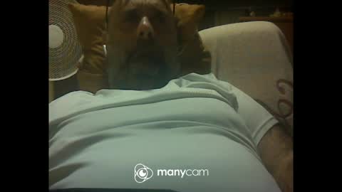 Snapshot of zeusdioss chatting on 07.08.26 zeusdioss online show from 07.08.26