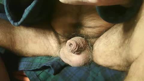 zevioo77 online show from 12.22.24