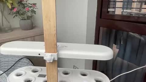 Nensi online show from 04.06.26