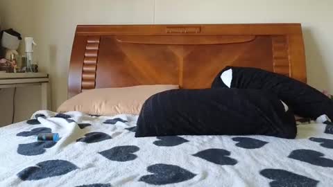 Ziggy ziggy-   online show from 12.06.24