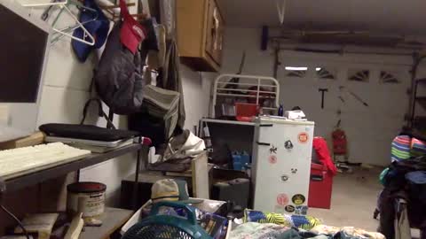ziggyyz online show from 02.24.25