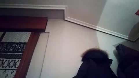 Snapshot of zigor13 chatting on 02.04.26 zigor13 online show from 02.04.26