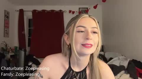 Snapshot of zoepleasing chatting on 02.13.26 zoepleasing online show from 02.13.26