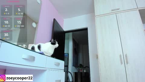 zoey  Independent model online show from 11.12.25