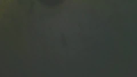Snapshot of zomma44 chatting on 05.27.26 zomma44 online show from 05.27.26