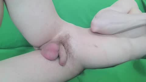 Zordy online show from 04.03.26