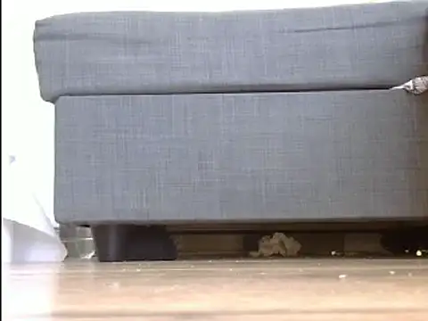 Squirtlady38 online show from 03.20.25