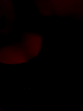 FerLu8 online show from 02.26.26