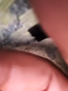 rajstrip12650 online show from 02.02.25