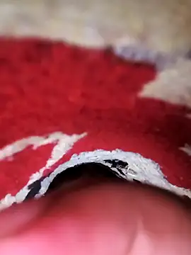 rajstrip12650 online show from 02.09.25