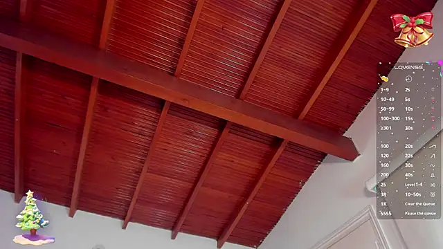 Snapshot of bhritany_brow chatting on 12.31.24 bhritany brow online show from 12.31.24