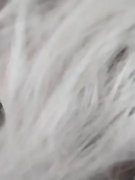 Linda Gregory online show from 12.09.24