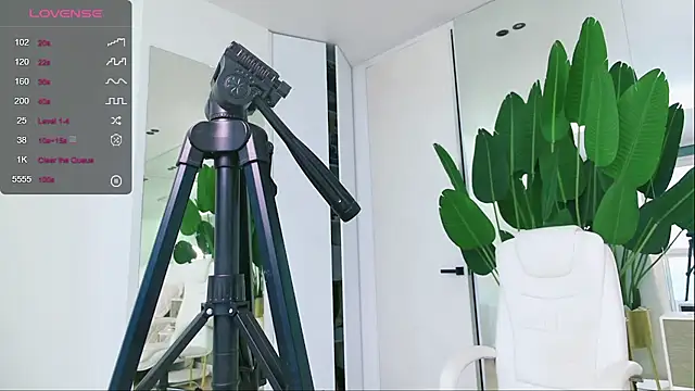 Snapshot of wowEva chatting on 01.31.25 wowEva online show from 01.31.25