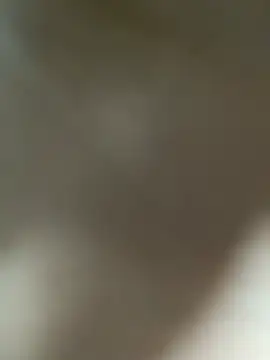 Lia flowers online show from 03.01.25