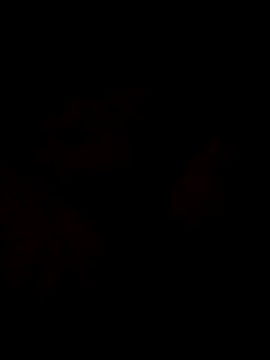 Sanny212 online show from 12.09.24