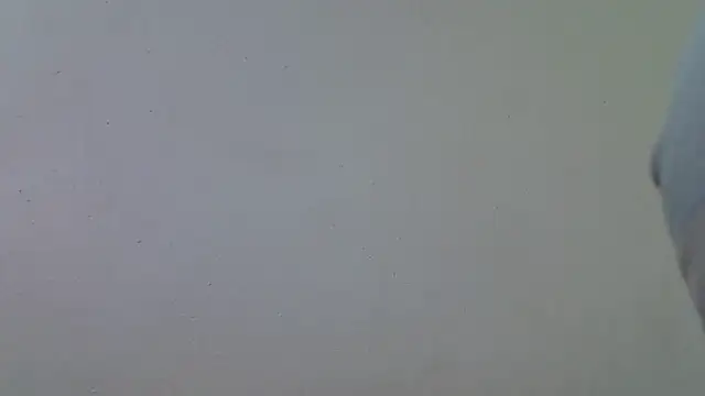 AddictiveAssCurves online show from 03.18.26