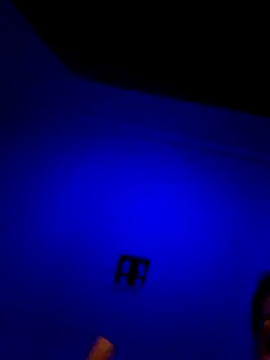 moniqque online show from 12.03.25