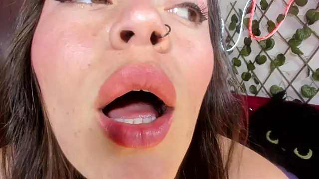  kalypso  online show from 02.22.26