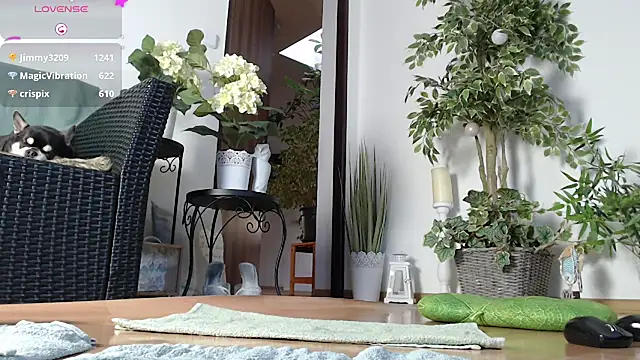 Snapshot of Squirtmania chatting on 01.01.25 Squirtmania online show from 01.01.25