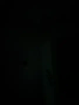 michele1500 online show from 11.30.25