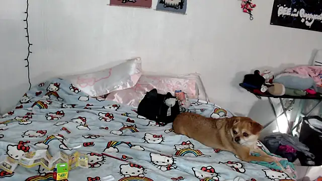 Snapshot of Cupcakecutie449 chatting on 03.05.26 Cupcakecutie449 online show from 03.05.26