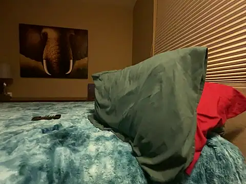 Bwcjoshbanks online show from 01.31.25