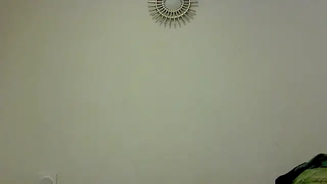 feline27 online show from 10.24.25