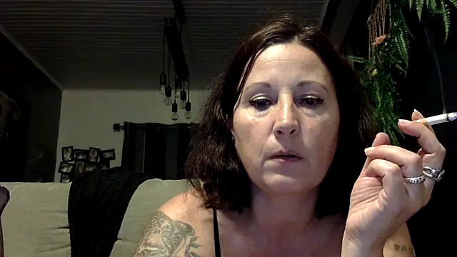 feline27 online show from 11.12.25