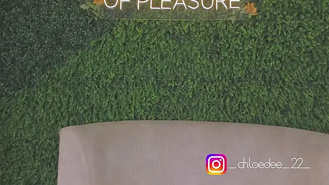 Snapshot of chloe_d chatting on 10.04.25 chloe d online show from 10.04.25