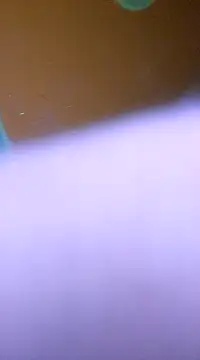 ducicsajsziii online show from 01.28.25