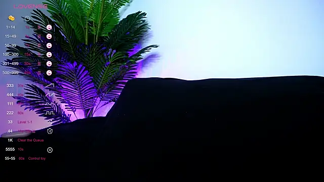 Snapshot of AishaCarter chatting on 01.28.25 AishaCarter online show from 01.28.25